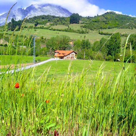Casa Santa Leocadia Villa Tama Dış mekan fotoğraf